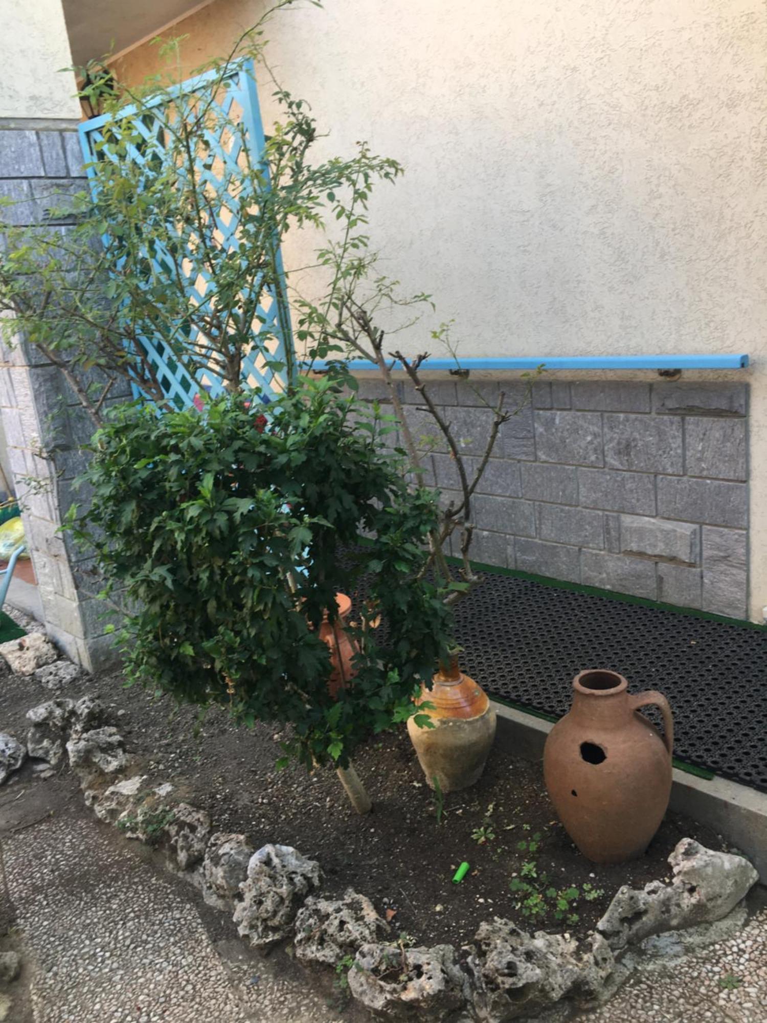 Lerosedimiamamma Appartement Cassine Buitenkant foto